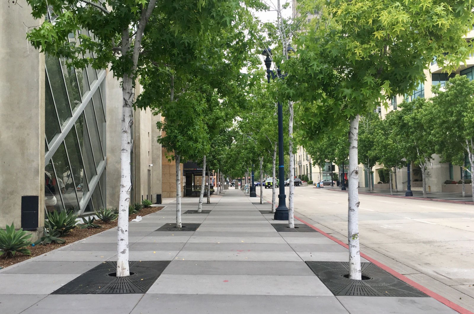 How TreeSense Makes Trees Smarter