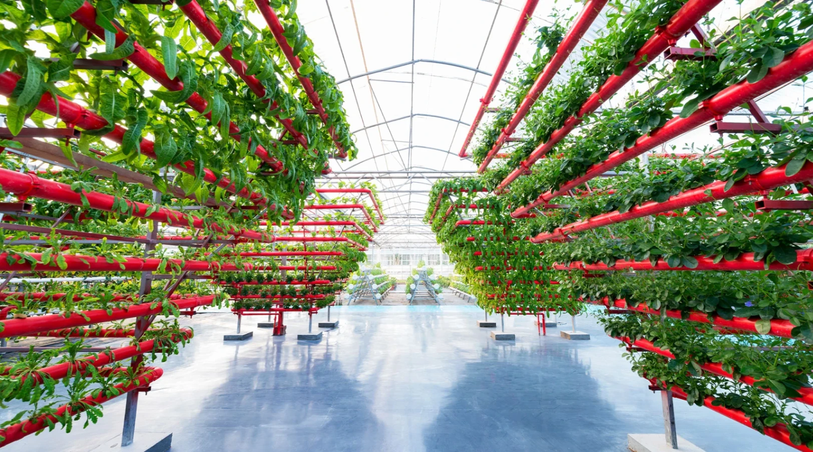 A Vertical Farm Where Robots Do All the Growing