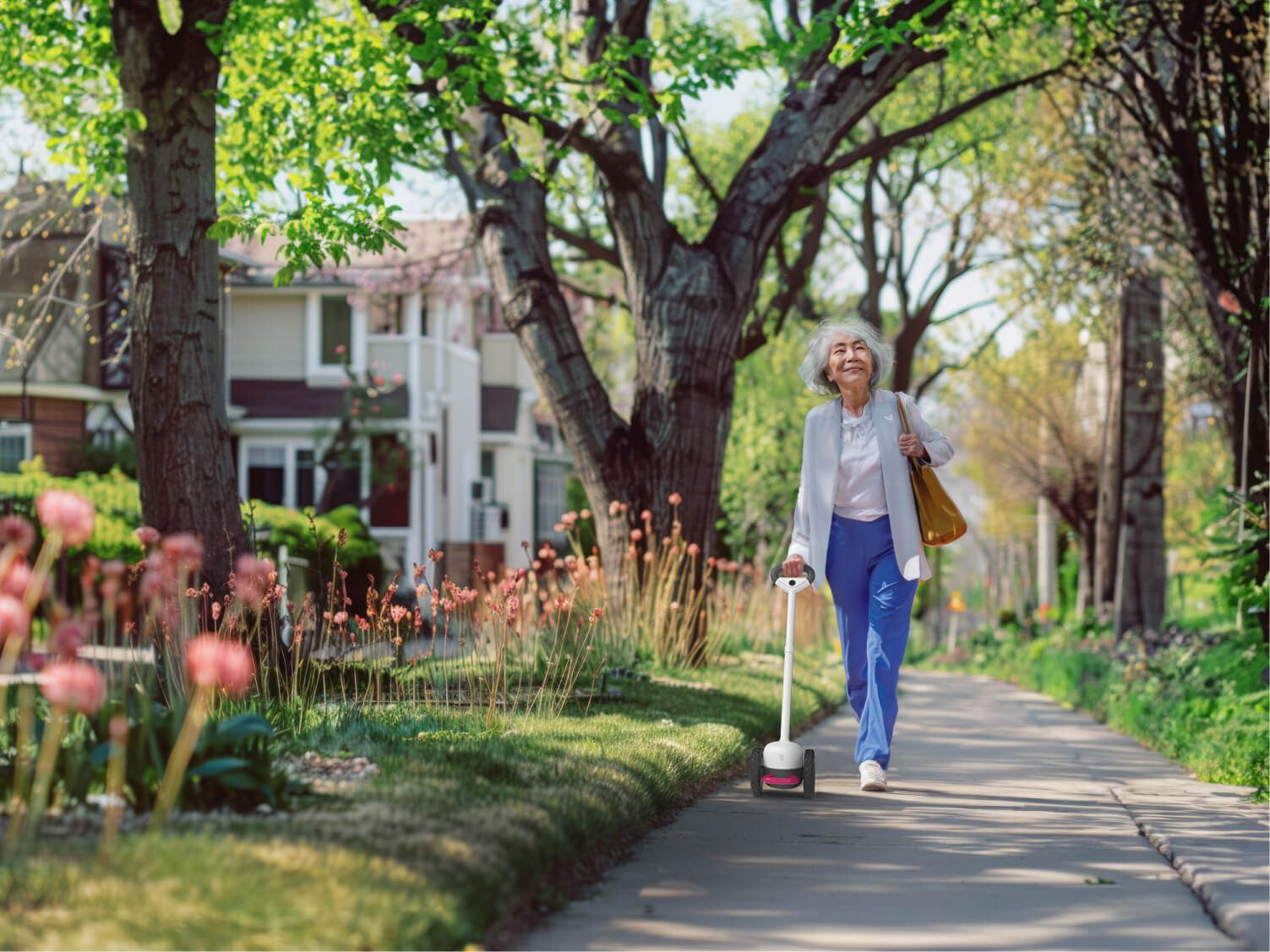 Walking With Insight