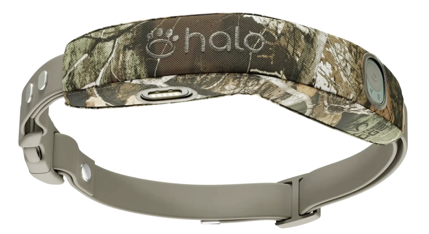 العنوان: طوق Halo Collar الذكي يخلق سياجًا افتراضيًا يرافق كلبك أينما ذهب