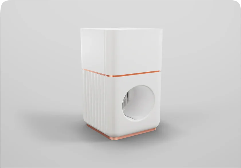 Can Memory Air Improve Brain Function?