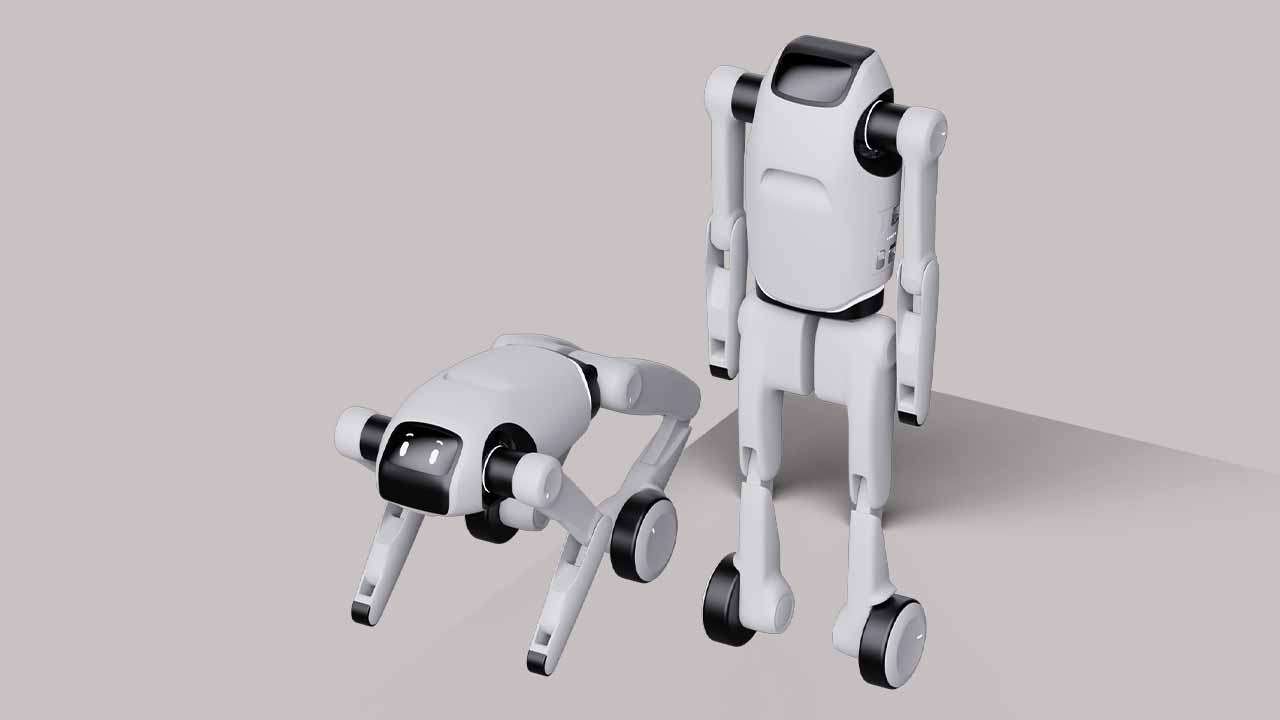A Transformable Personal Robot That Walks on Two Legs and Four 