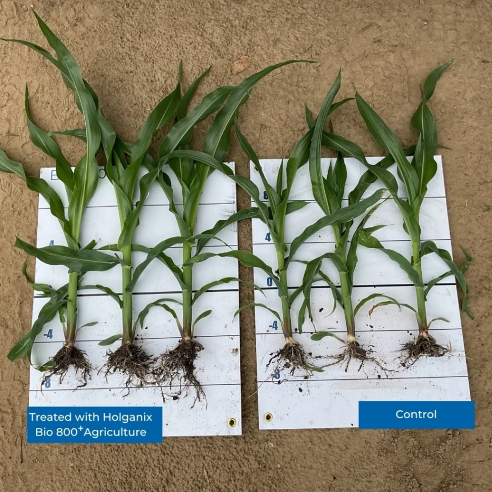 Holganix Bio 800: The Probiotic Fixing America's Soil 