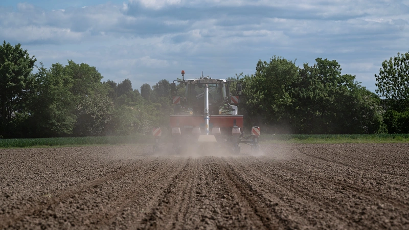 مستشعر MiraSense يرصد كل بذرة دون استثناء مهما كان حجمها أو سرعتها