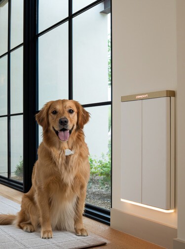 Pawport: The Pet Door That Knows Your Dog