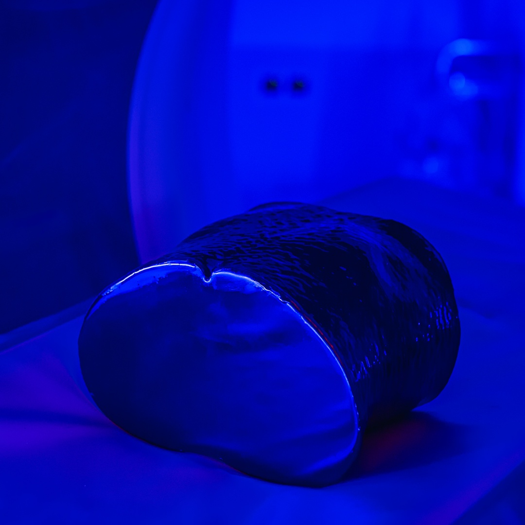 PhantomX Realistic Phantoms for Imaging