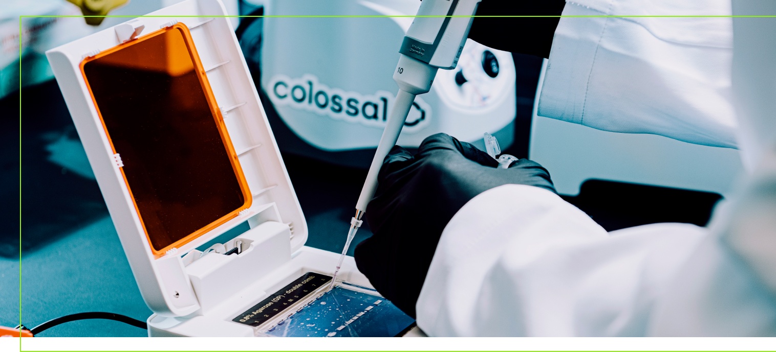 Colossal BioVault: Preserving Endangered Species DNA 