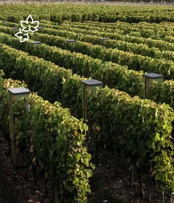 BIENESIS Canopy: The Vineyard That Protects Itself